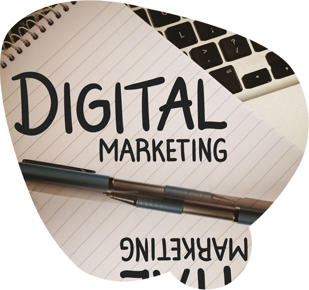 Digital Marketing Freelancer